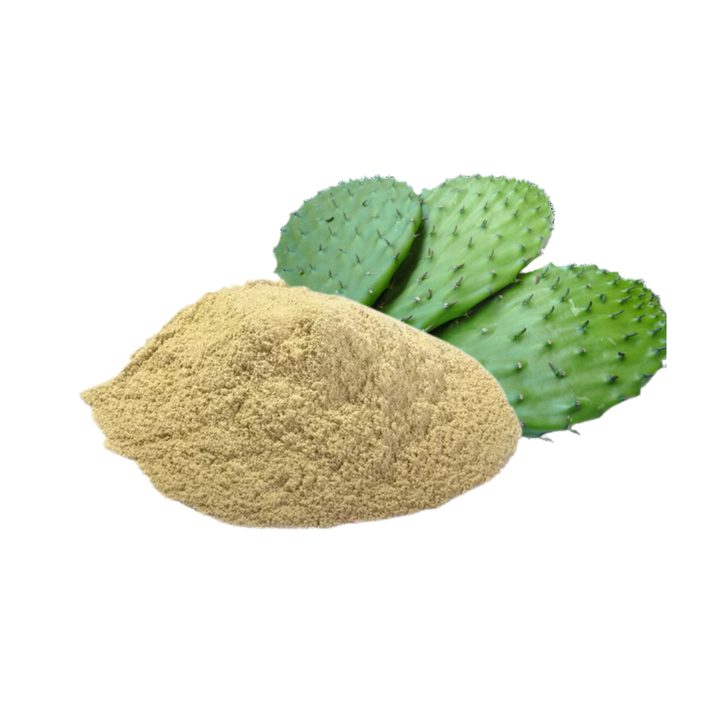 Nopal Deshidratado en Polvo