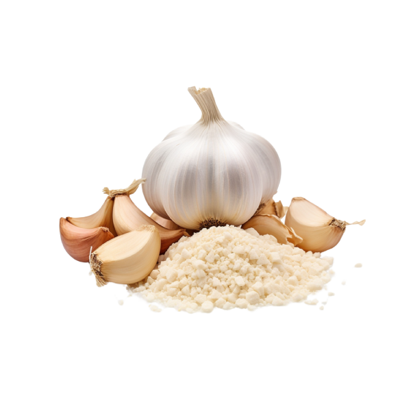 Ajo Deshidratado en Polvo