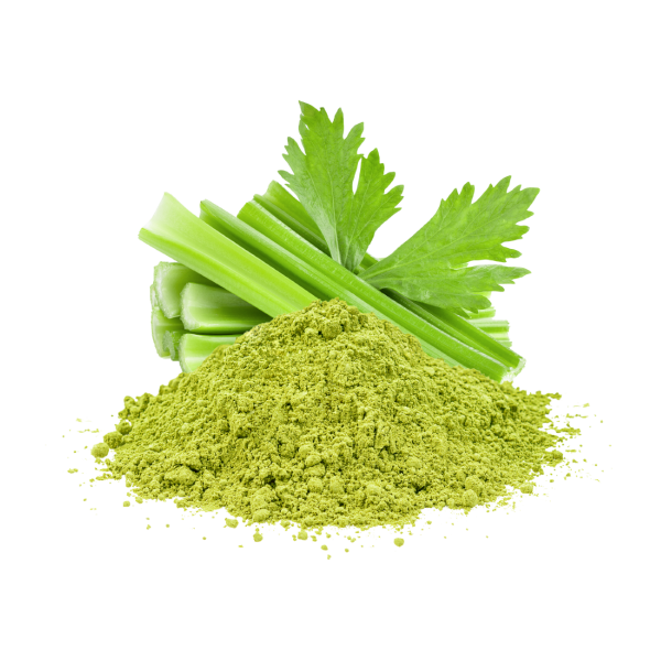 Apio Deshidratado en Polvo