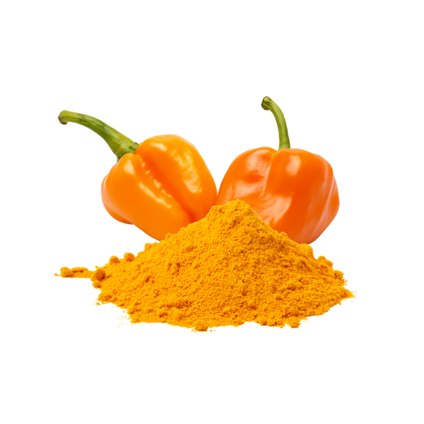 Chile Habanero Deshidratado en Polvo