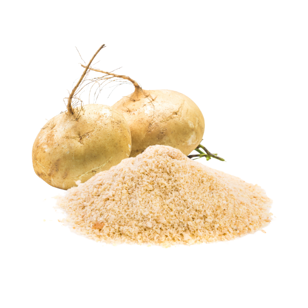 Jícama Deshidratada en Polvo