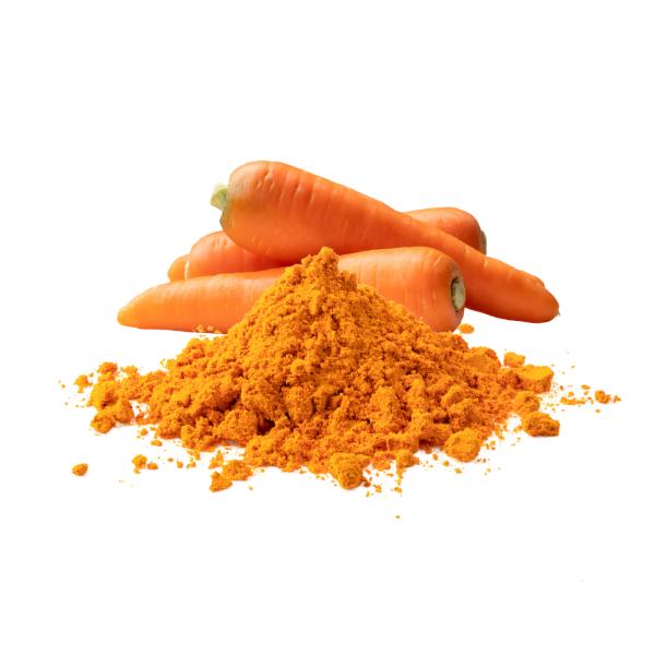 Zanahoria Deshidratada en Polvo